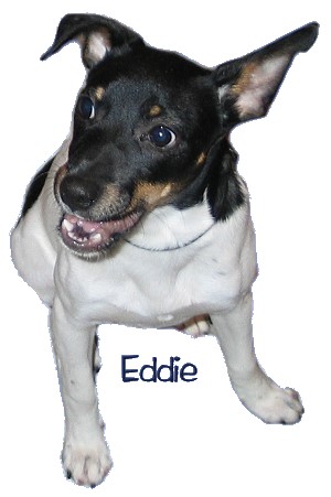 eddie