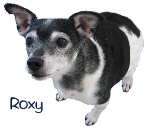 roxy